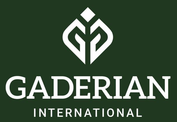 logo light